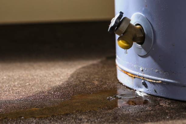 Best Professional water damage repair  in Shark River Hills, NJ