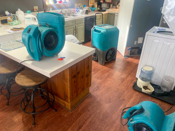  Shark River Hills, NJ Water damage restoration Pros