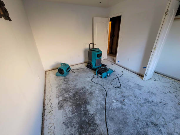 Best Sewage cleanup and water damage restoration  in Shark River Hills, NJ