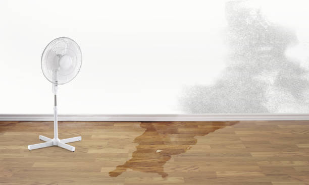 Best 24-hour water damage restoration  in Shark River Hills, NJ
