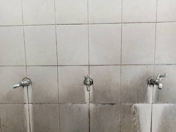 Shark River Hills, NJ Water damage restoration Company