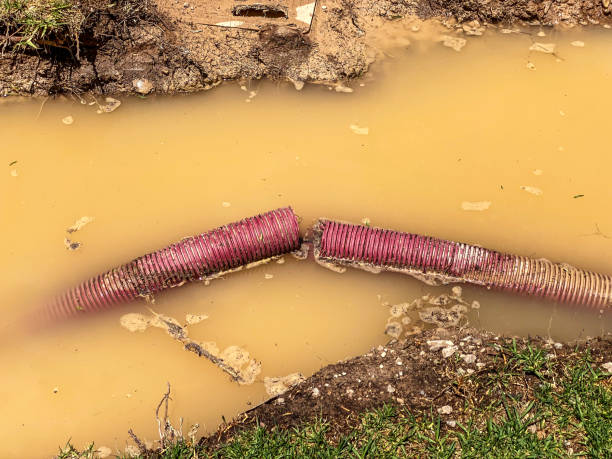 Water damage restoration experts in Shark River Hills, NJ