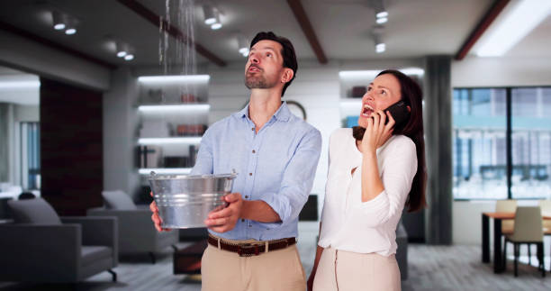 Best Fire Damage Restoration  in Shark River Hills, NJ